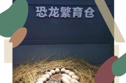 -恐龙探索乐园(磁器口店)