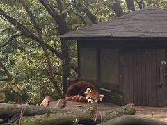 -云南野生动物园