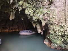 -怀托摩萤火虫洞