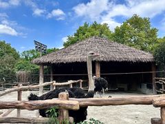 -上海野生动物园