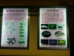 -上海昆虫博物馆