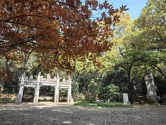 -灵谷景区
