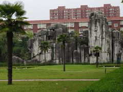 -西京医院