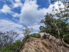 -紫金山山顶公园