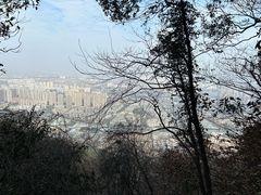 -惠山国家森林公园