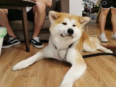-YCHL Studios健身工作室(市二宫店)