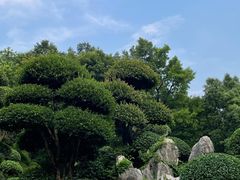 -南京东郊国宾馆