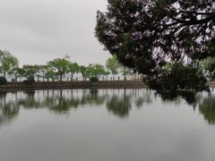 -无锡蠡湖国家湿地公园-蠡园