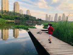 -前关湿地公园