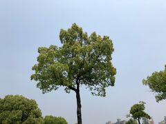 -大宁灵石公园西门票处