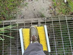 -摩拉基大圆石