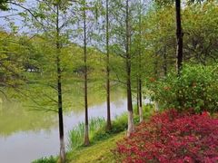 -怡海公园(桂城街道)