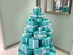 -Tiffany & Co.蒂芙尼
(天津万象城店)