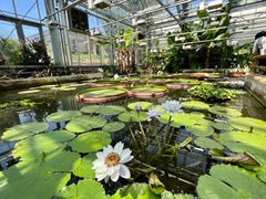 -国家植物园南园