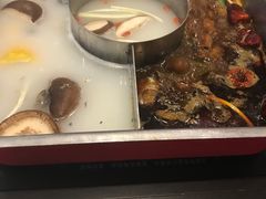 -新辣道鱼火锅(世纪金源购物中心店)