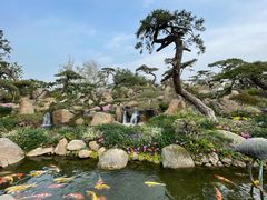 -罗红摄影艺术馆