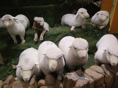 -济州岛泰迪熊博物馆