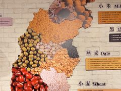 -粥六•新晋菜(柳巷店)