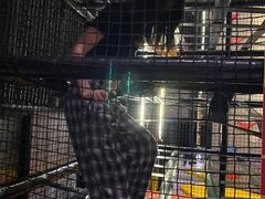 -核客极限挑战