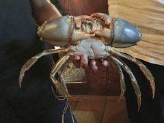 -Ministry of Crab(科伦坡店)