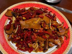 -菌之家·专业纯野生菌火锅·特色炒菌