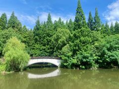-东平国家森林公园