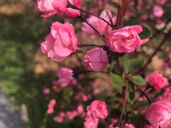 -卓粤拉肠(红庙店)