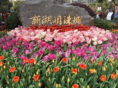 -新湖明珠城