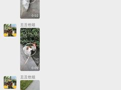 -谐和益家动物医院·免疫绝育·血液透析·宠保定点医院(高新伊藤分院)