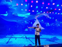 -烟台海昌鲸鲨海洋公园