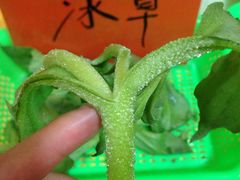 -海精英海鲜世界(台海路店)