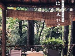 -秦岭终南山世界地质公园翠华山景区