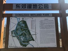 -东郊湿地公园