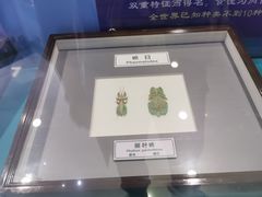 -上海昆虫博物馆