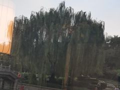 -食悦江南·淮扬菜·烤鸭(亚运村·惠新店)