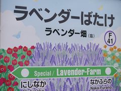 -富田农场