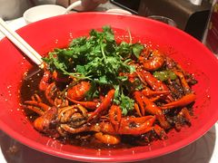 -红辣椒·川菜·火锅(张杨路店)