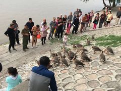 -人民防洪胜利纪念塔