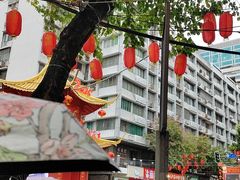 -越秀西湖花市(广州城市广场花卉店)