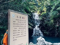 -十八棵（老龙井）御茶园(老龙井店)