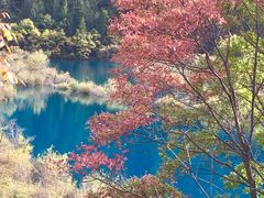 -九寨沟-树正沟