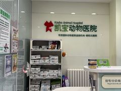 -悦宠凯宝动物医院·牙科·皮肤科(朝阳北路店)