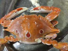 -南沙十九涌渔人码头-南门