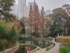 -成都市活水公园