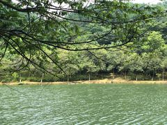 -广州白江湖森林公园