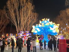 -北戴河集发农业梦想王国
