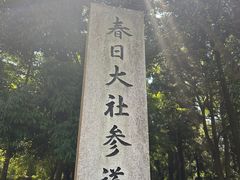 -奈良公园