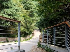 -崂山巨峰游览区