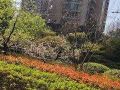 -耀江文鼎苑