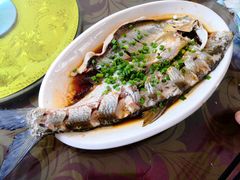 -晓琦农家菜馆·地道农家菜